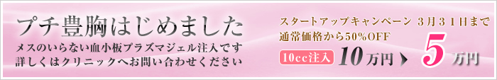 新キャンペーン情報