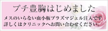 新キャンペーン情報