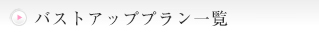 バストアッププラン一覧