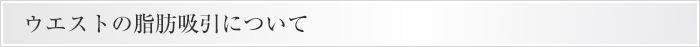 ウエストの脂肪吸引について