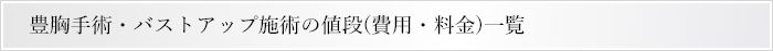 豊胸手術・バストアップ施術の値段(費用・料金)一覧