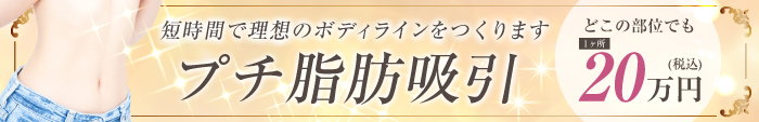 プチ脂肪吸引