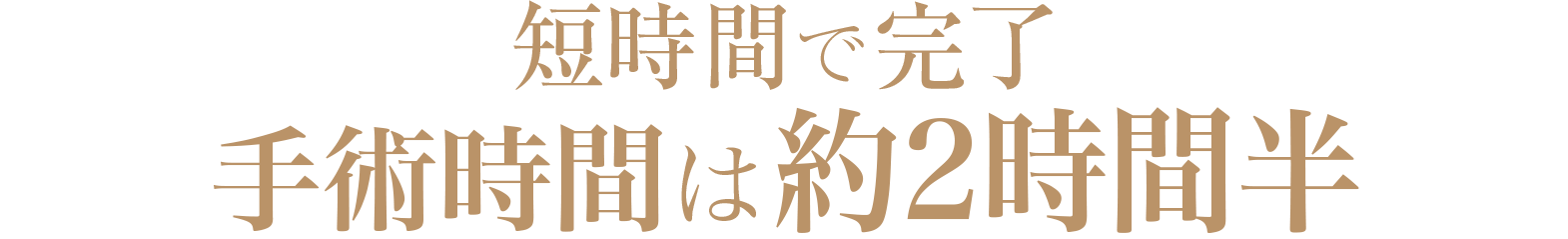 短時間で完了手術時間は約2時間半