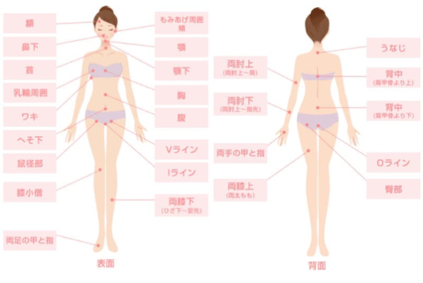 脱毛範囲