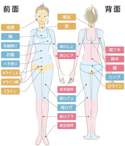 ルシアクリニック　まるごと全身脱毛　脱毛部位イラスト