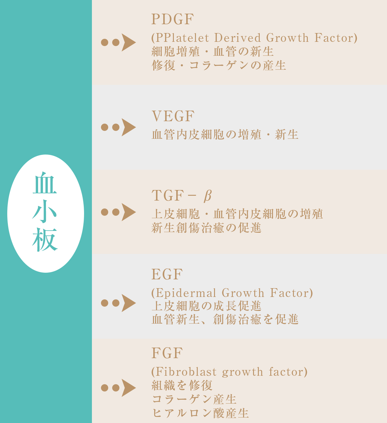 脂肪注入法豊胸手術専門は東京渋谷区の美容外科 池田ゆう子クリニック