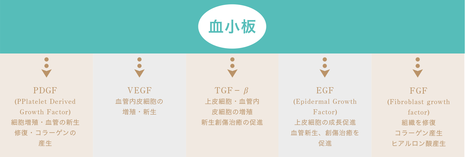 脂肪注入法豊胸手術専門は東京渋谷区の美容外科 池田ゆう子クリニック